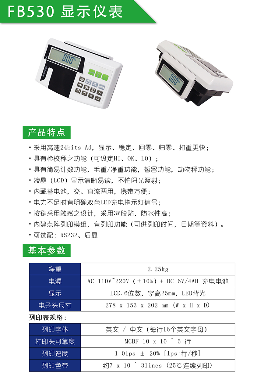 FB530打印仪表